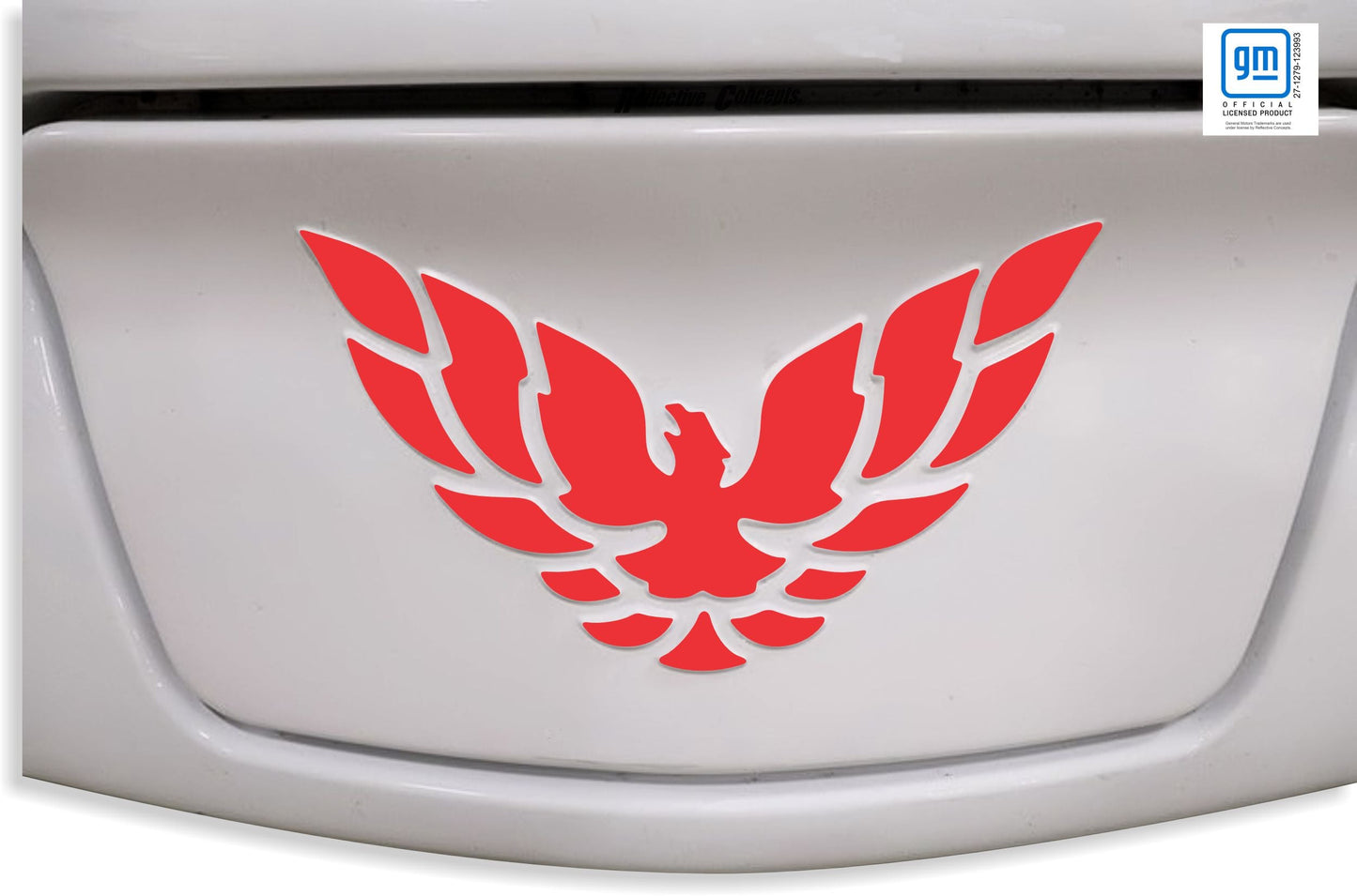 Front License Plate Cover Overlay Decal - 98-02