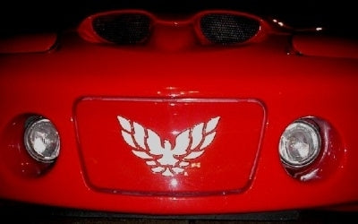 Front License Plate Cover Overlay Decal - 98-02