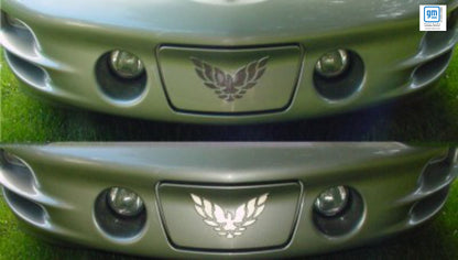 Front License Plate Cover Overlay Decal - 98-02