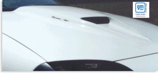 Ram Air Decal